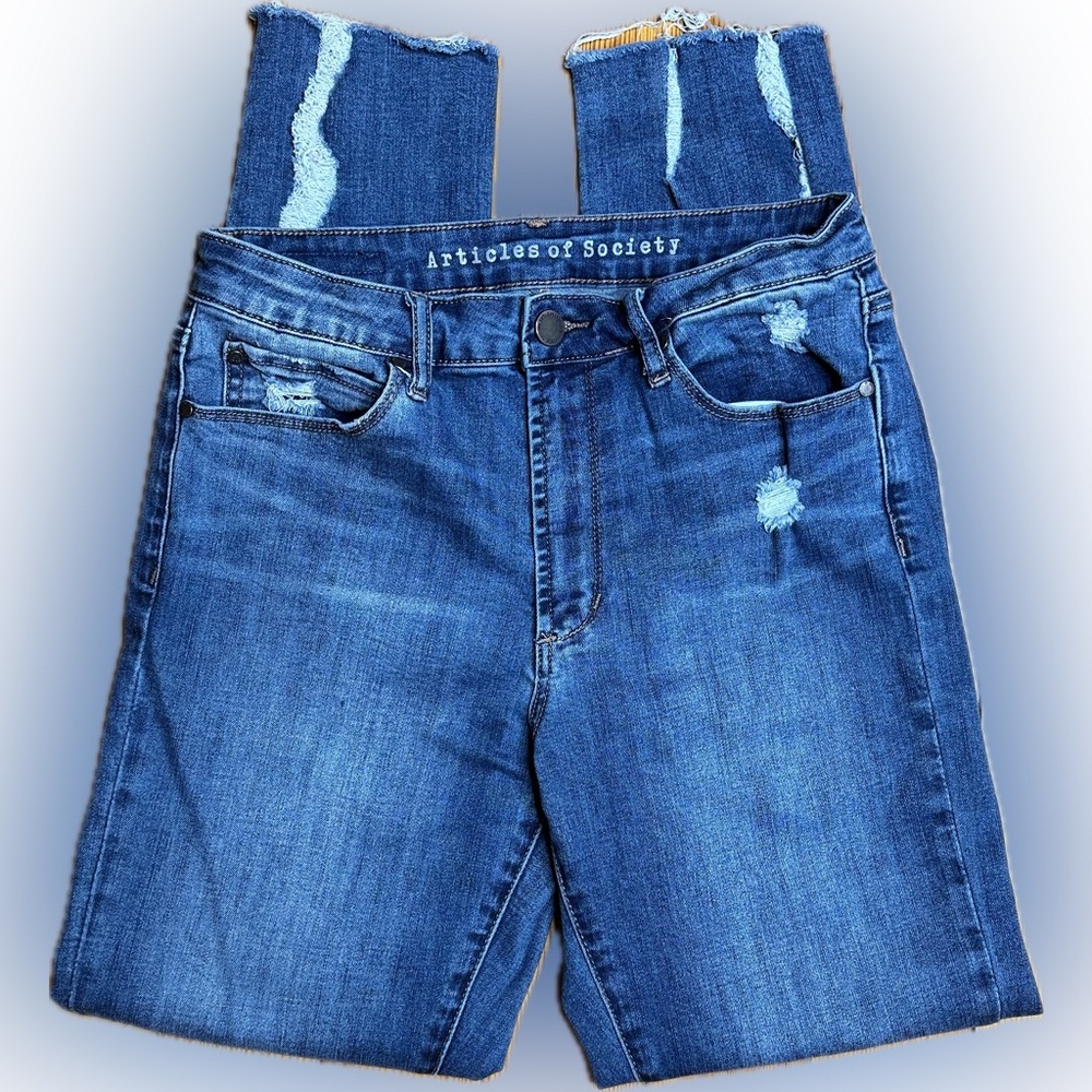 Articles of Society Rene High Rise Raw Hem Distressed Straight Jeans
